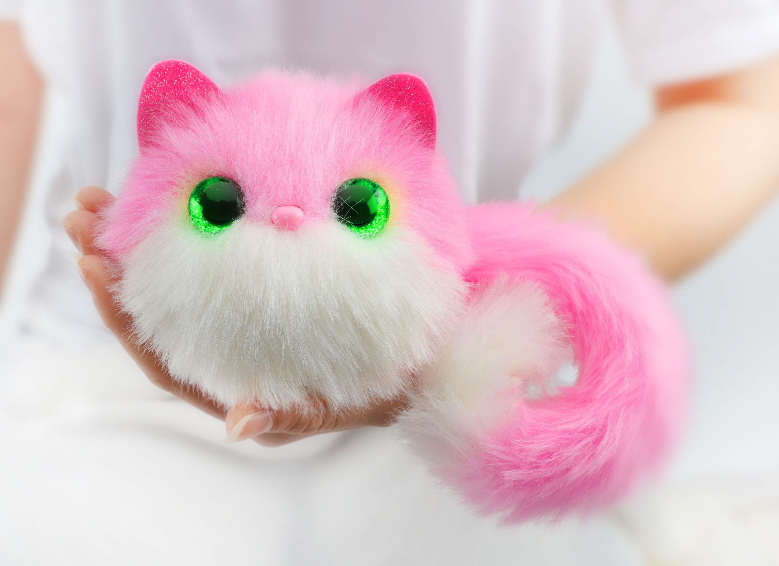 pomsies pet